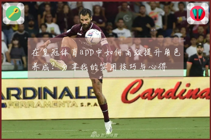 在皇冠体育app中如何高效提升角色养成？分享我的实用技巧与心得